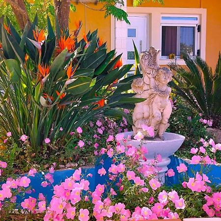 Iris Apartment Near Corfu Town كونتوكالي المظهر الخارجي الصورة