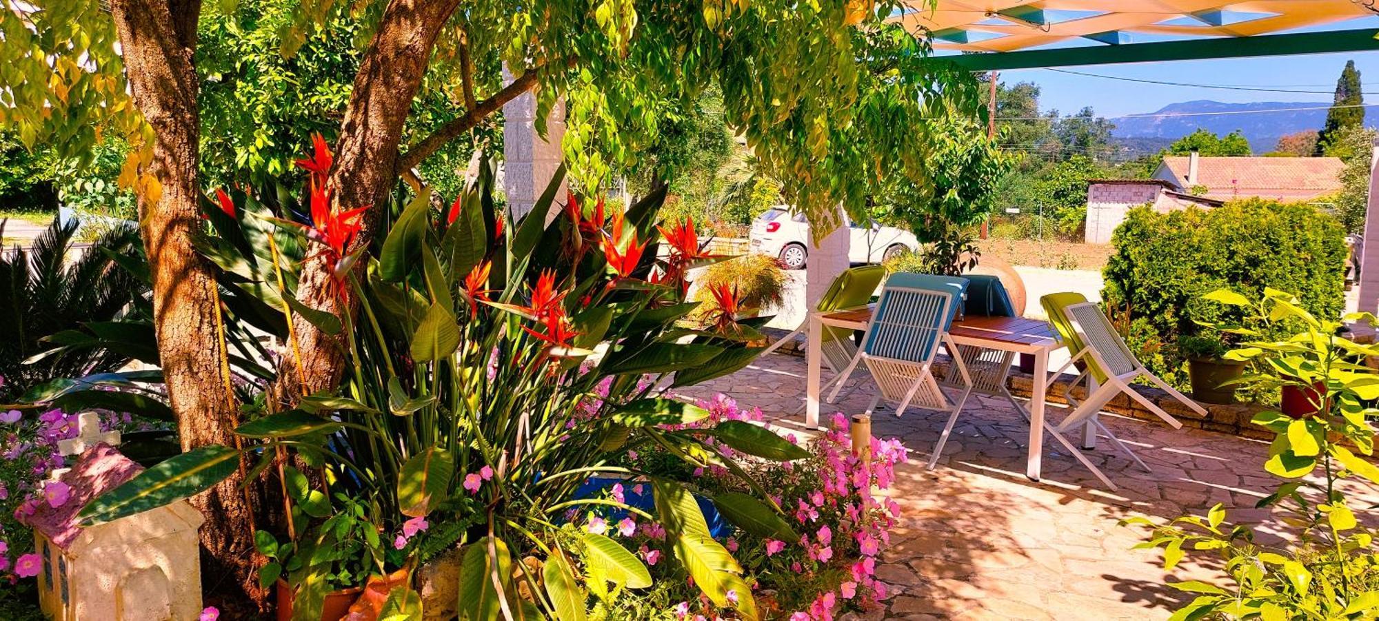 Iris Apartment Near Corfu Town كونتوكالي المظهر الخارجي الصورة
